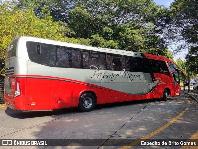 Empresa de Ônibus Pássaro Marron 5941 na cidade de São Paulo, São Paulo, Brasil, por Espedito de Brito Gomes. ID da foto: 9814451.