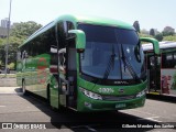 Trans Wolff Transportes e Turismo 0310 na cidade de São Paulo, São Paulo, Brasil, por Gilberto Mendes dos Santos. ID da foto: :id.