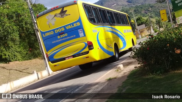 Viação Lírio dos Vales 8300 na cidade de Santa Teresa, Espírito Santo, Brasil, por Isack Rosario. Número da foto: #9910305.