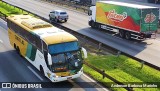 Empresa Gontijo de Transportes 17175 na cidade de Guarulhos, São Paulo, Brasil, por Anderson Barbosa Marinho. Número da foto: #9914638.