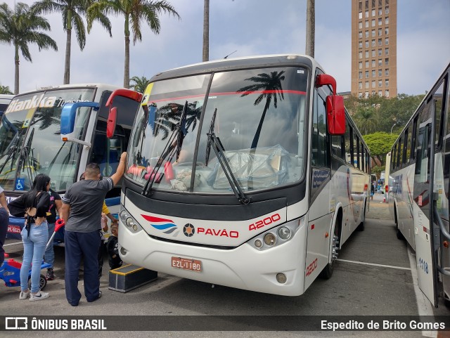 Turismo Pavão 4200 na cidade de Aparecida, São Paulo, Brasil, por Espedito de Brito Gomes. Número da foto: #9917222.