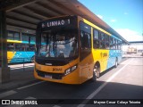 Imperial Transporte e Locação 315 na cidade de Araucária, Paraná, Brasil, por Mayron Cesar  Colaço Teixeira. ID da foto: :id.