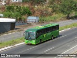 Pássaro Verde 19169 na cidade de Belo Horizonte, Minas Gerais, Brasil, por Douglas Célio Brandao. Número da foto: #:id.