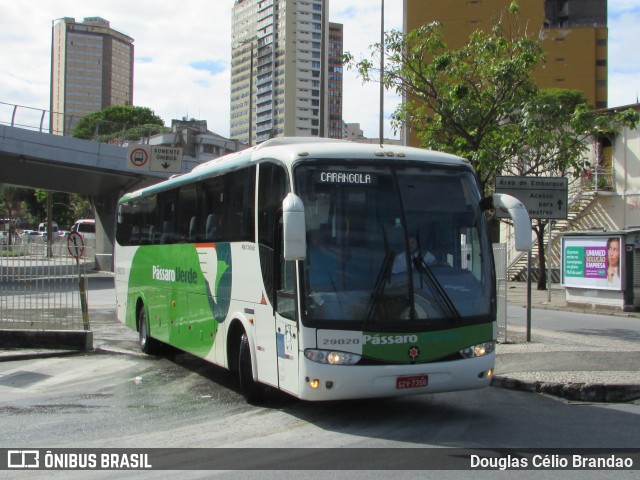 Pássaro Verde 29020 na cidade de Belo Horizonte, Minas Gerais, Brasil, por Douglas Célio Brandao. Número da foto: #9933685.