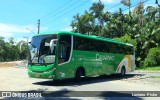 Viação Canarinho 1202 na cidade de Jaraguá do Sul, Santa Catarina, Brasil, por Luciano  Piske. Número da foto: #9934567.