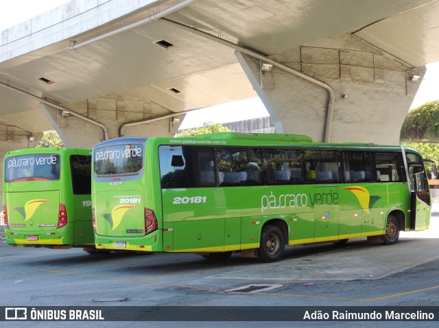 Pássaro Verde 20181 na cidade de Belo Horizonte, Minas Gerais, Brasil, por Adão Raimundo Marcelino. ID da foto: 9939132.