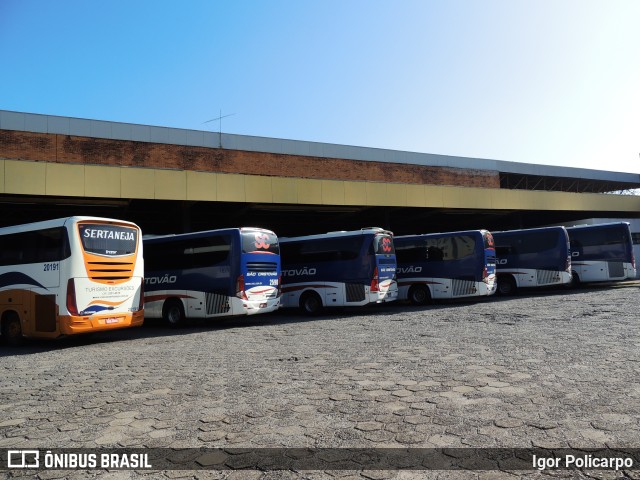 Viação Sertaneja 20191 na cidade de Divinópolis, Minas Gerais, Brasil, por Igor Policarpo. ID da foto: 9937588.