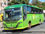 Pássaro Verde 20181 na cidade de Belo Horizonte, Minas Gerais, Brasil, por Adão Raimundo Marcelino. ID da foto: :id.