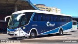 Citral Transporte e Turismo 3104 na cidade de Porto Alegre, Rio Grande do Sul, Brasil, por Claudio Roberto. Número da foto: #:id.