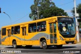 Transportes Coletivos Nossa Senhora da Piedade 625 na cidade de Campo Largo, Paraná, Brasil, por Patrick  Luis Aifeld. Número da foto: #9944790.