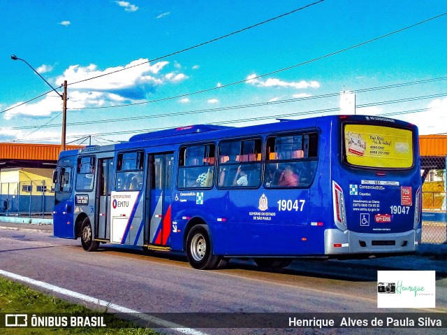 Transportes Capellini 19.047 na cidade de Monte Mor, São Paulo, Brasil, por Henrique Alves de Paula Silva. Número da foto: #9954282.