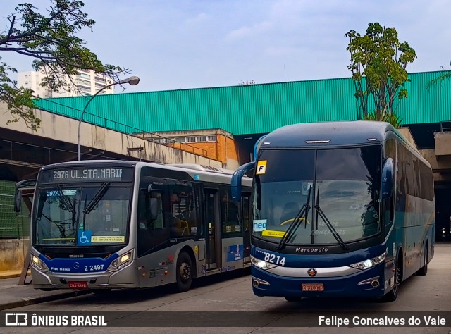 Bia Turismo > Aellos de Ouro 8214 na cidade de São Paulo, São Paulo, Brasil, por Felipe Goncalves do Vale. ID da foto: 9953719.