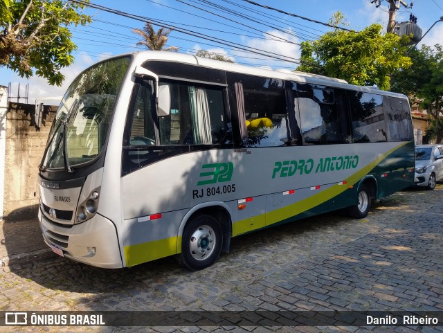 Empresa de Ônibus e Turismo Pedro Antônio RJ 804.005 na cidade de Vassouras, Rio de Janeiro, Brasil, por Danilo  Ribeiro. Número da foto: #9952536.