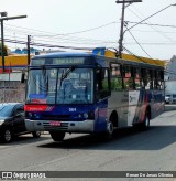 Transportes Coletivos Parque das Nações 064 na cidade de São Paulo, São Paulo, Brasil, por Renan De Jesus Oliveira. Número da foto: #:id.