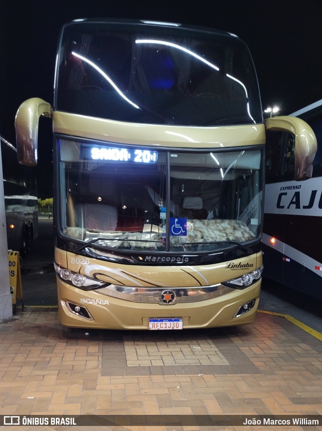 Linhatur Turismo e Fretamento 8020 na cidade de Ribeirão Vermelho, Minas Gerais, Brasil, por João Marcos William. Número da foto: #9883588.