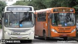 Auto Viação São Braz 21290 na cidade de Curitiba, Paraná, Brasil, por Busologia Gabrielística. Número da foto: #9881893.