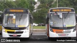 Auto Viação Transcap >> Auto Bless Transportes 8 5075 na cidade de São Paulo, São Paulo, Brasil, por Busologia Gabrielística. Número da foto: #:id.