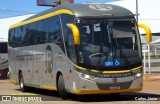 RodeRotas - Rotas de Viação do Triângulo 7102 na cidade de Goiânia, Goiás, Brasil, por Carlos Júnior. Número da foto: #9958543.