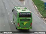 Pássaro Verde 15128 na cidade de Belo Horizonte, Minas Gerais, Brasil, por Douglas Célio Brandao. Número da foto: #:id.