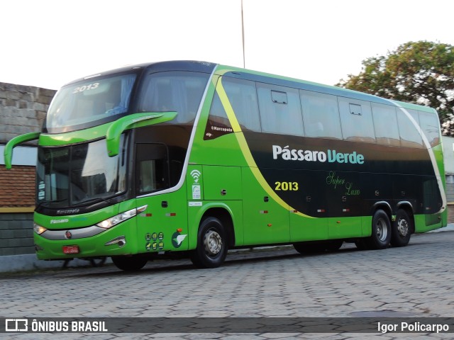 Pássaro Verde 2013 na cidade de Divinópolis, Minas Gerais, Brasil, por Igor Policarpo. Número da foto: #9888468.