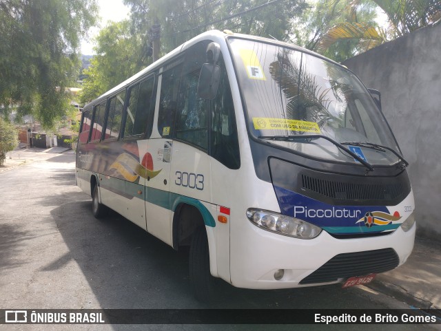 Piccolotur Transportes Turísticos 3003 na cidade de Franco da Rocha, São Paulo, Brasil, por Espedito de Brito Gomes. Número da foto: #9886903.