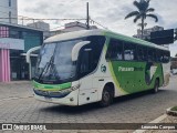 Pássaro Verde 11097 na cidade de Sete Lagoas, Minas Gerais, Brasil, por Leonardo Campos. Número da foto: #9887076.