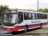 Empresa de Transportes Limousine Carioca RJ 129.045 na cidade de Rio de Janeiro, Rio de Janeiro, Brasil, por Paulo Gustavo. Número da foto: #:id.