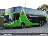 Pássaro Verde 2013 na cidade de Divinópolis, Minas Gerais, Brasil, por Igor Policarpo. Número da foto: #9888468.