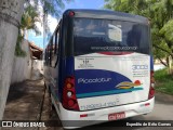 Piccolotur Transportes Turísticos 3003 na cidade de Franco da Rocha, São Paulo, Brasil, por Espedito de Brito Gomes. Número da foto: #9886904.