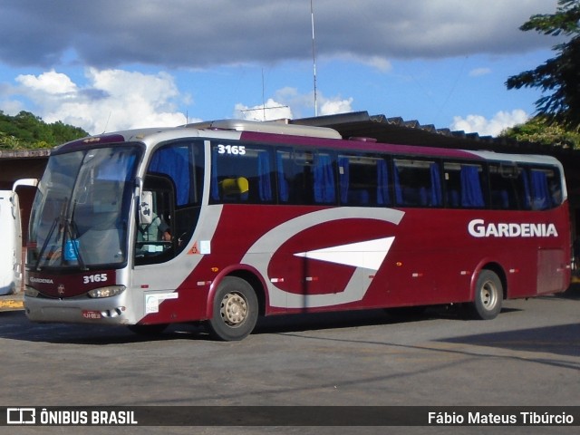Expresso Gardenia 3165 na cidade de Três Corações, Minas Gerais, Brasil, por Fábio Mateus Tibúrcio. Número da foto: #9891179.