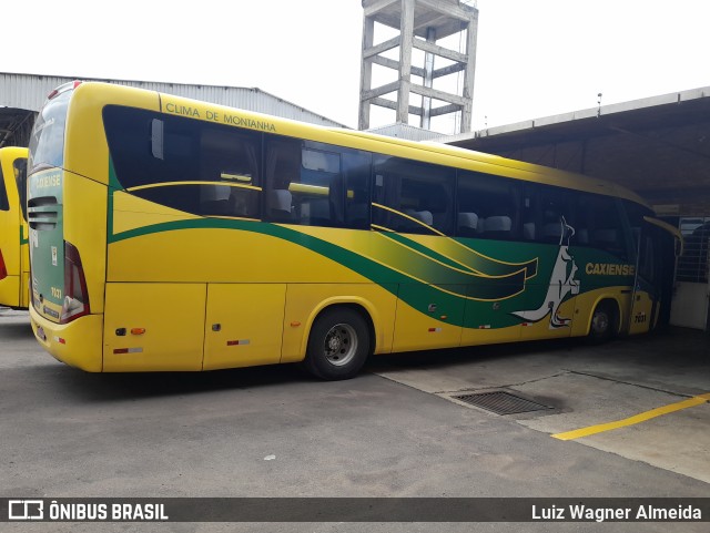 Expresso Caxiense 7031 na cidade de Caxias do Sul, Rio Grande do Sul, Brasil, por Luiz Wagner Almeida. ID da foto: 9890723.