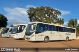 Stadtbus 257 na cidade de Formosa, Goiás, Brasil, por Andre Barbosa. ID da foto: :id.