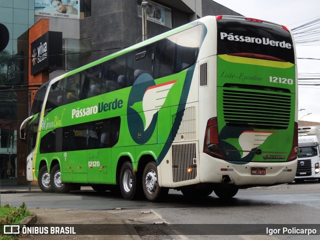 Pássaro Verde 12120 na cidade de Divinópolis, Minas Gerais, Brasil, por Igor Policarpo. ID da foto: 9897973.