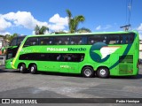 Pássaro Verde 12122 na cidade de Belo Horizonte, Minas Gerais, Brasil, por Pedro Henrique. Número da foto: #:id.