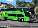 Pássaro Verde 12127 na cidade de Belo Horizonte, Minas Gerais, Brasil, por Pedro Henrique. Número da foto: #:id.