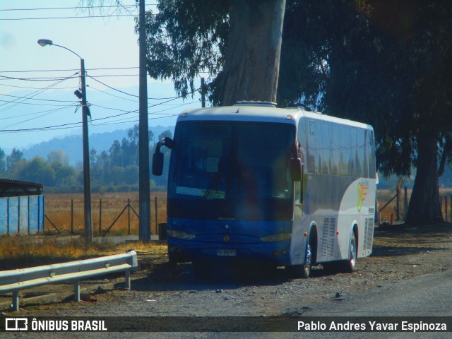 Buses Pizarro Teno 01 na cidade de Teno, Curicó, Maule, Chile, por Pablo Andres Yavar Espinoza. Número da foto: #9963071.