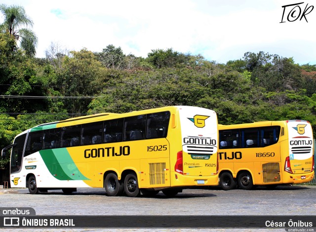 Empresa Gontijo de Transportes 15025 na cidade de Belo Horizonte, Minas Gerais, Brasil, por César Ônibus. ID da foto: 9962253.