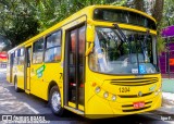 Viação Leme 1204 na cidade de Jundiaí, São Paulo, Brasil, por Igor F.. Número da foto: #9963497.
