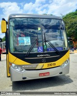 Transportes Capellini 23019 na cidade de São Paulo, São Paulo, Brasil, por Edinilson Henrique Ferreira. Número da foto: #:id.