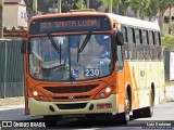 VSLL - Viação Santa Luzia 230 na cidade de Juiz de Fora, Minas Gerais, Brasil, por Luiz Krolman. Número da foto: #9986123.
