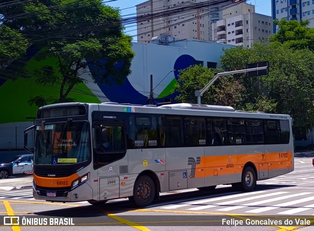 Alfa Rodobus > CooperAlfa 8 6102 na cidade de São Paulo, São Paulo, Brasil, por Felipe Goncalves do Vale. ID da foto: 9989839.