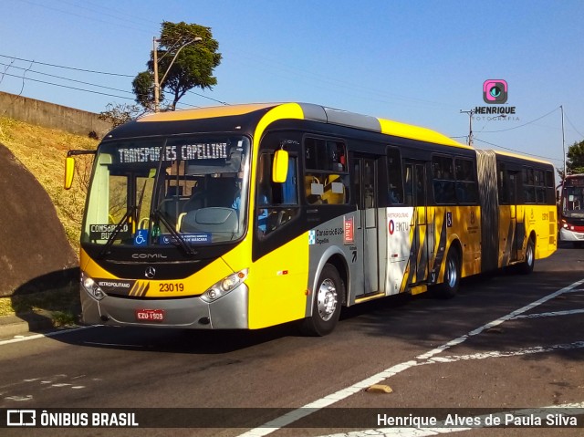 Transportes Capellini 23019 na cidade de Campinas, São Paulo, Brasil, por Henrique Alves de Paula Silva. Número da foto: #9989268.