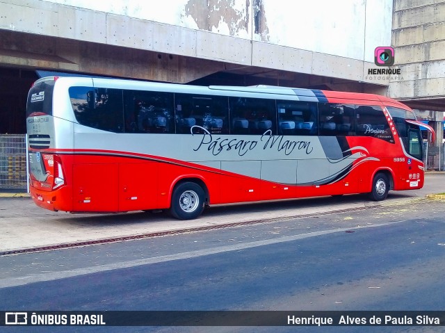 Empresa de Ônibus Pássaro Marron 5956 na cidade de Campinas, São Paulo, Brasil, por Henrique Alves de Paula Silva. ID da foto: 9989851.