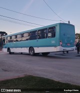 Viação Nossa Senhora Conquistadora 586 na cidade de Pelotas, Rio Grande do Sul, Brasil, por Busólogo Ribeiro. Número da foto: #:id.