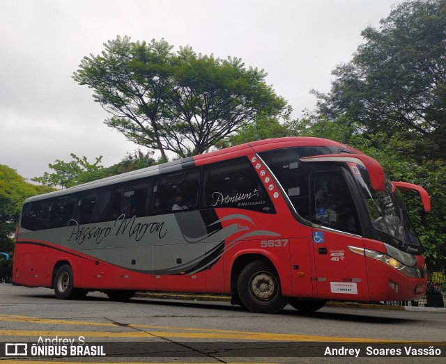Empresa de Ônibus Pássaro Marron 5637 na cidade de São Paulo, São Paulo, Brasil, por Andrey  Soares Vassão. Número da foto: #9993712.