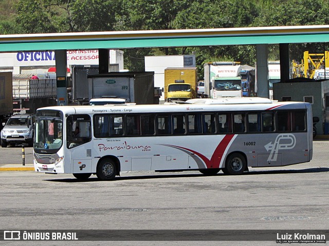 Paraibuna Transportes 16002 na cidade de Juiz de Fora, Minas Gerais, Brasil, por Luiz Krolman. ID da foto: 9991325.