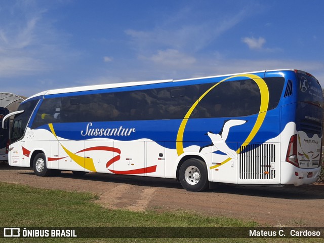 Sussantur 2051 na cidade de Holambra, São Paulo, Brasil, por Mateus C.  Cardoso. Número da foto: #9993574.