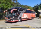 Lirabus 11065 na cidade de São Paulo, São Paulo, Brasil, por Helder Fernandes da Silva. Número da foto: #:id.
