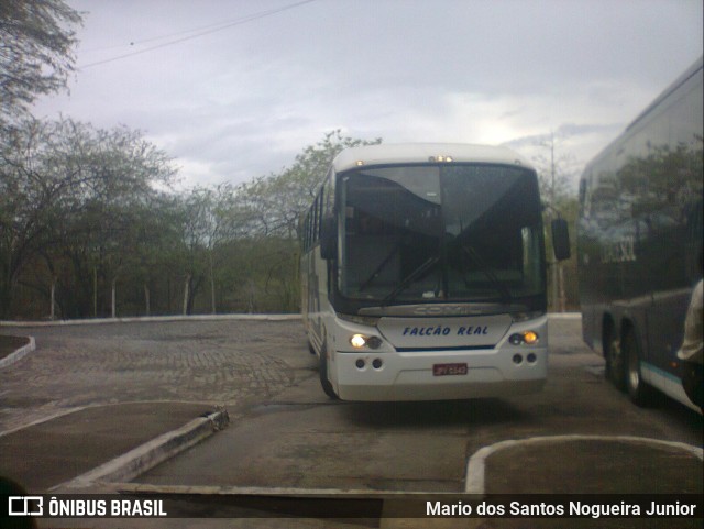 Falcão Real 1150 na cidade de Piritiba, Bahia, Brasil, por Mario dos Santos Nogueira Junior. Número da foto: #9994335.