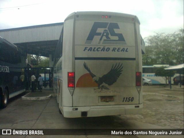 Falcão Real 1150 na cidade de Piritiba, Bahia, Brasil, por Mario dos Santos Nogueira Junior. Número da foto: #9994338.